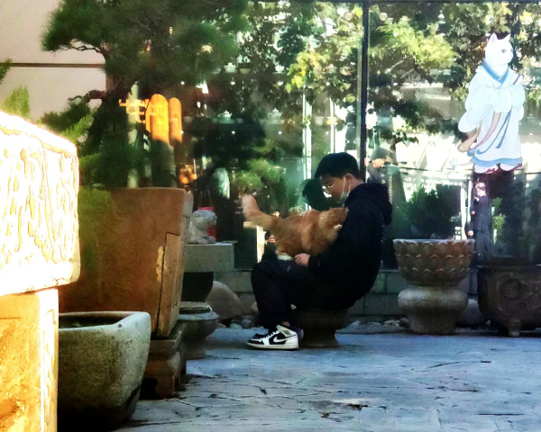 焗南瓜？烤南瓜？還是你要“戴”南瓜？