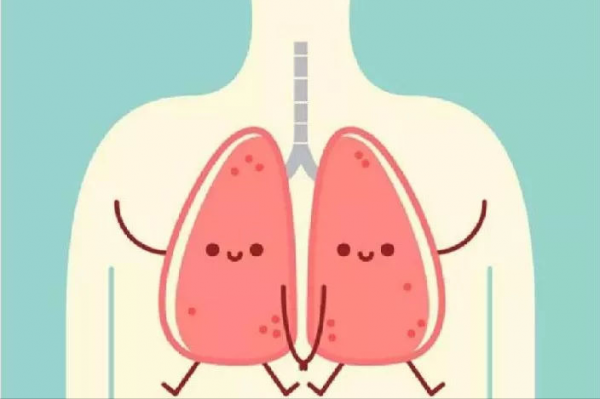 臟腑虛證自測,16種虛症,你是哪一種?快來下方討論區自檢吧 臟腑虛證自測,16種虛症,你是哪一種?快來下方討論區自檢吧