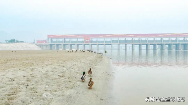 金堂來了一群特殊的客人