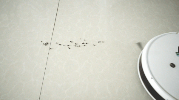 科沃斯yeedi k10：不僅輕鬆解決地面清潔難題，還會自己洗拖布