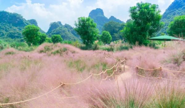 廣東絕美的秋色,都藏在了這4個小眾景點裡 廣東絕美的秋色,都藏在了這4個小眾景點裡
