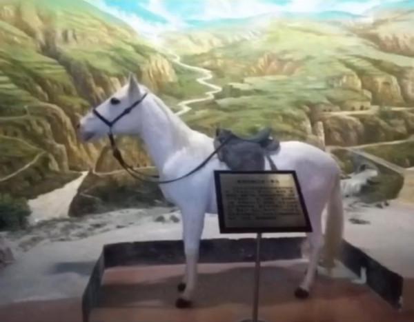 毛主席的小青馬,一直駝著主席度過最艱難的時期,後來又去了哪裡 毛主席的小青馬,一直駝著主席度過最艱難的時期,後來又去了哪裡