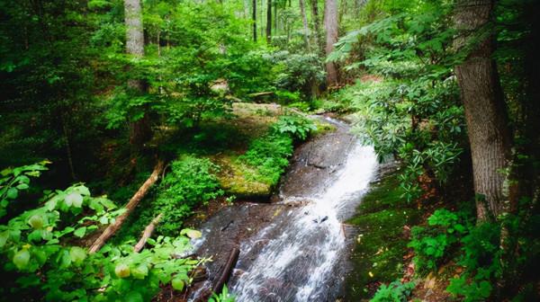湖北一景區躥紅，被稱為“天然大氧吧”，距武漢1小時車程