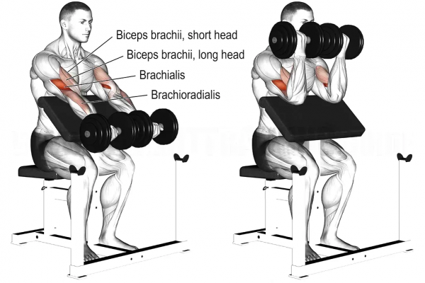 「耀&bull;健身」練遍全身，你只差一對啞鈴