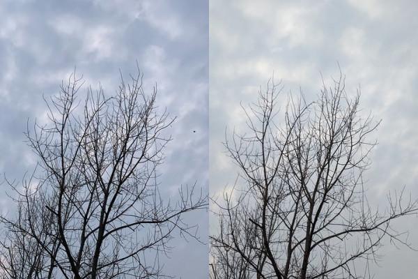 2022年iPhone XS和Pixel 4的對比使用報告