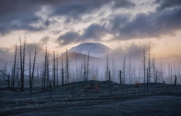 俄羅斯圖片展 &vert; 沒有最美，只有更美