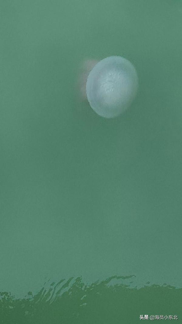 航記&mdash;&mdash;記錄航行的