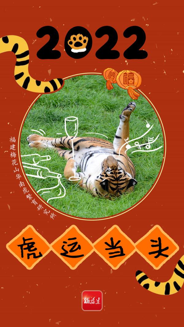 小&OpenCurlyDoubleQuote;腦斧&rdquo;給你拜年！接虎（fu）氣啦
