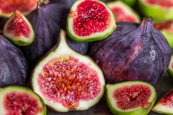 哪些水果含蛋白質豐富？常吃這3種水果，補充蛋白質很有效