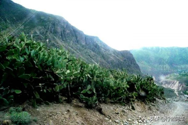 冬季去西藏怕高反，這條進藏線路攻略一定不能錯過