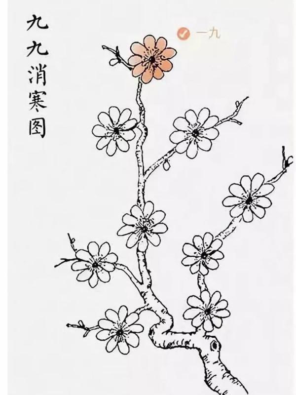 冬至｜陰極而陽生，重點護好先天之本腎、後天之本脾