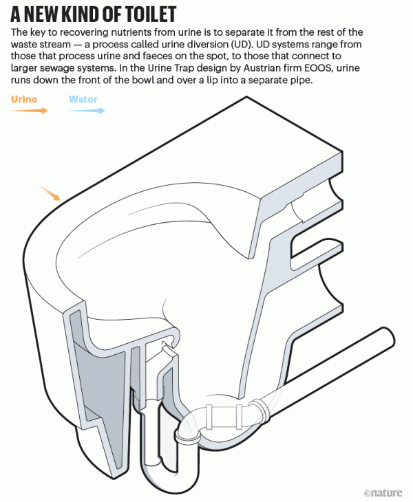 小便革命：尿液回收如何幫助拯救世界