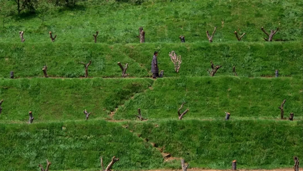 日本奇幻電影《夢》,八段夢境對人類社會進行反思 日本奇幻電影《夢》,八段夢境對人類社會進行反思