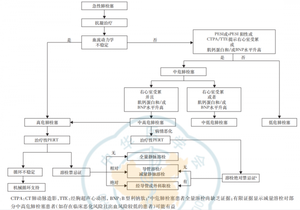 急性肺栓塞如何救治？中國多學科專家共識釋出
