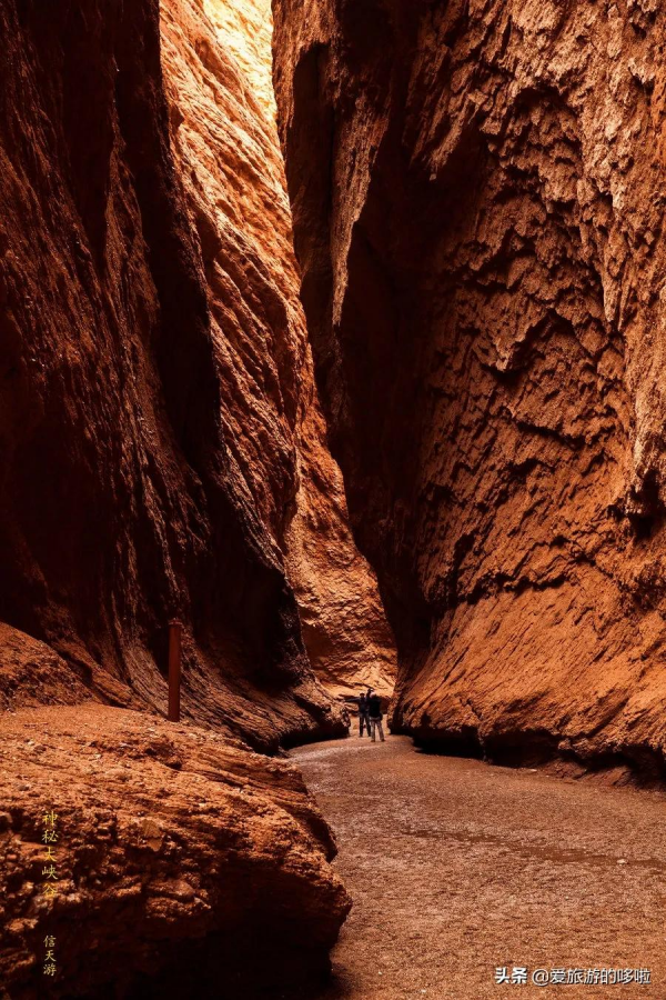 第一次去新疆怎麼玩！花了1個月總結出的保姆級攻略送上
