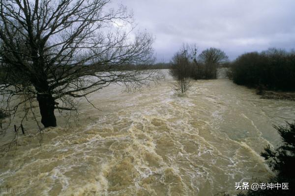 溫陽利水第一方,漢代經方真武湯 溫陽利水第一方,漢代經方真武湯