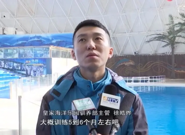 福虎迎春&CenterDot;熱鬧福丨海洋動物鬧新春