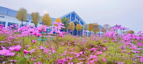 冬季悄悄走近，駕駛奇駿欣賞一下美景