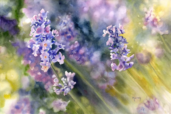 55歲拿起畫筆,成為最懂花的女人!筆下絢爛唯美的水彩花卉太美了 55歲拿起畫筆,成為最懂花的女人!筆下絢爛唯美的水彩花卉太美了