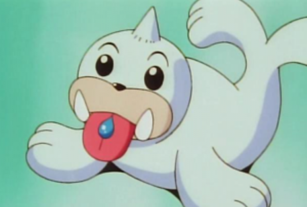 《寶可夢》來源與生態：白海獅不是海獅，而是海里的美人魚