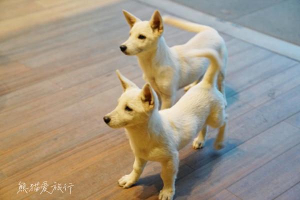 蘇州平望，因京杭古運河而生的別樣江南水鄉，3天2晚這麼玩