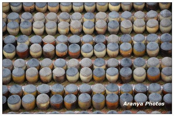 廈門島外6萬缸醬油，頭戴斗笠列隊，這樣的陣仗你見過嗎？