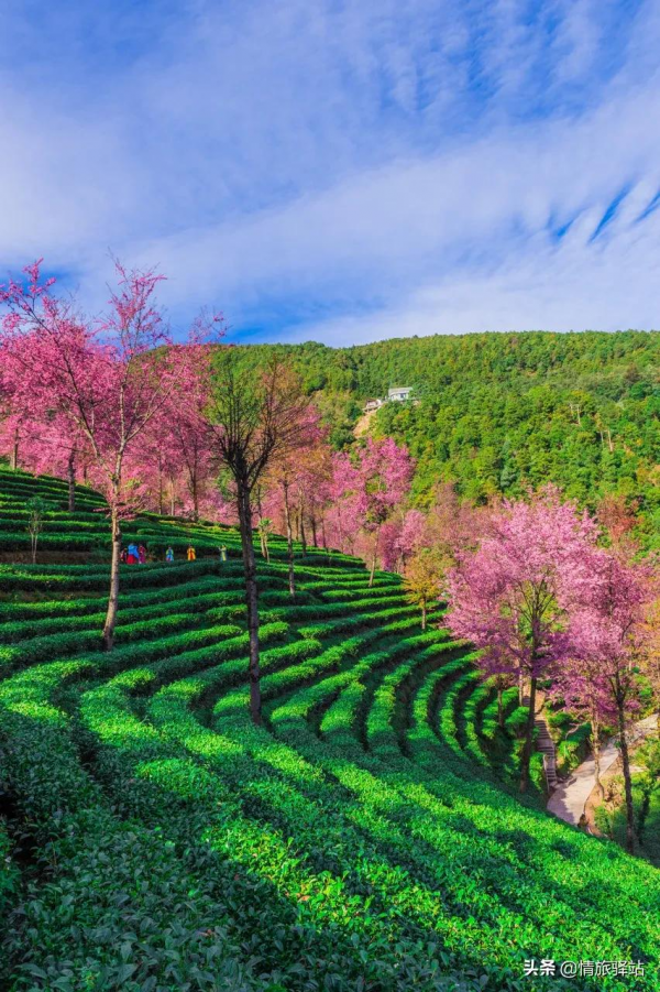 適合兩個人打卡的旅行清單，看完收藏