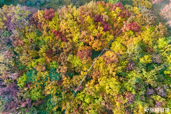 蘆水灣如畫卷般的美景美色,是放鬆身心的絕佳景點 蘆水灣如畫卷般的美景美色,是放鬆身心的絕佳景點