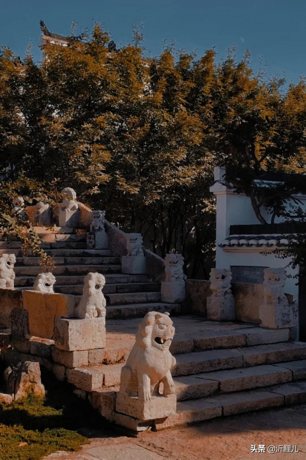 觀唐溫泉×山住茶:古風裡的一杯新制茶 觀唐溫泉×山住茶:古風裡的一杯新制茶