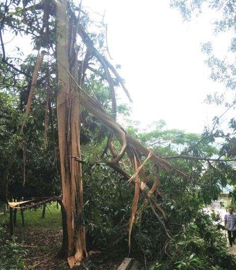 印尼一保安雨中行走遭雷劈，告誡釣友作釣一定要遠離極端天氣