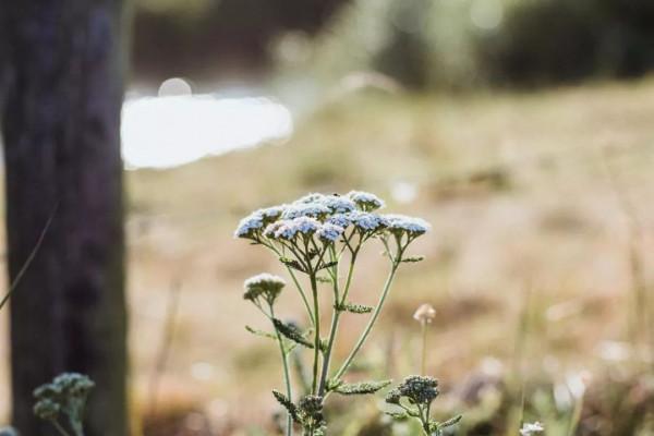 不傷人顏面,是一種教養,更是一種善良 不傷人顏面,是一種教養,更是一種善良