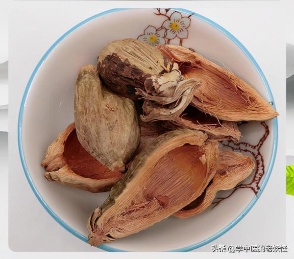 每日學習一味中藥——大腹皮