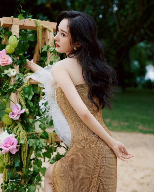 429號“女神”楊冪 429號“女神”楊冪