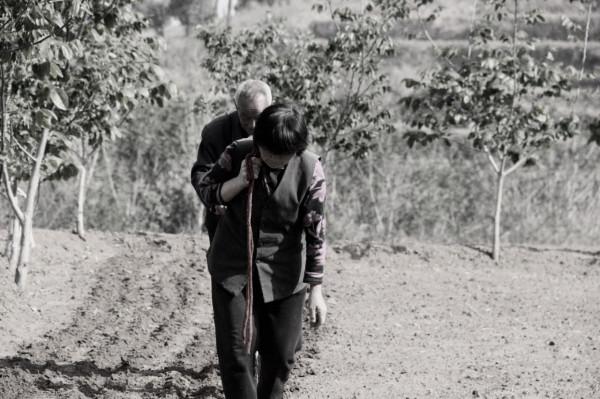 民間故事：農戶下地幹活，妻子打傷了一條蛇，三叔說，要道歉三年