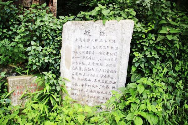 大理鳳陽邑:茶馬古道上的世外桃源 大理鳳陽邑:茶馬古道上的世外桃源