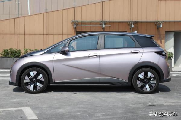 小尺寸但空間大，長續航快充家用小車，靈巧好停好養，比亞迪海豚