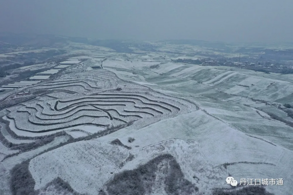 2022年春季丹江口最美雪景，你知道是哪裡嗎？