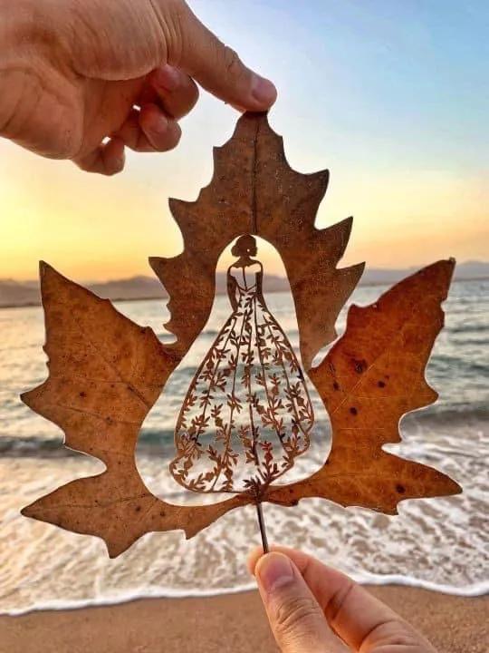 一葉知秋,一葉一世界 一葉知秋,一葉一世界