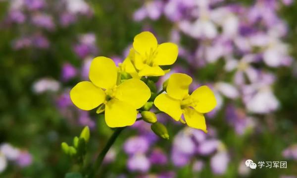 晚間悅讀 | 學會做人，懂得做事