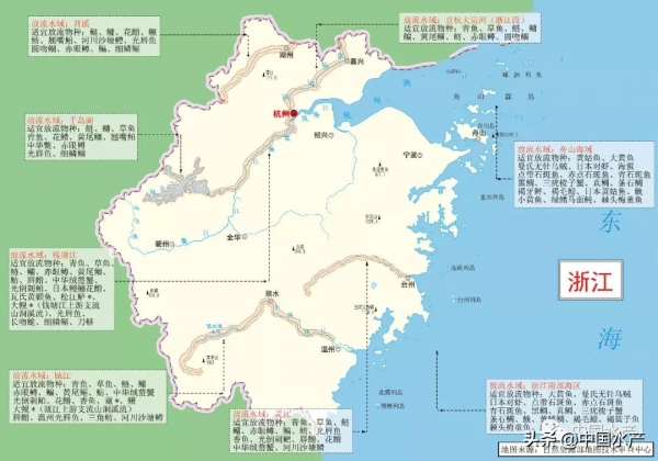 科學放流指南 &vert;（五）增殖放流水域在哪裡？放流物種怎麼選？
