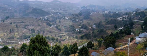 大年初三，龍泉驛觀景臺