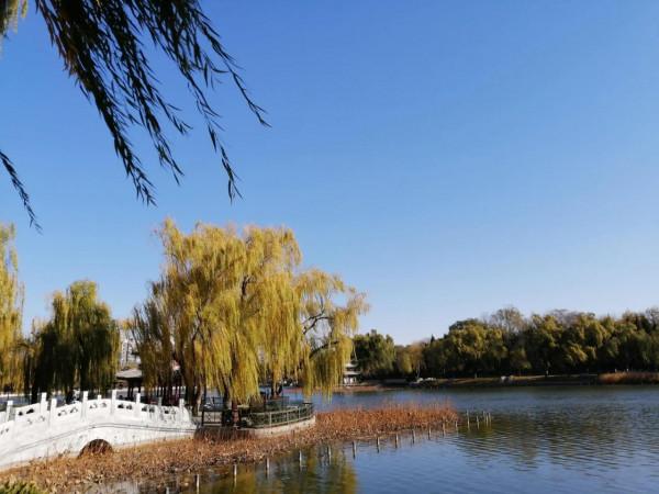 最美陶然亭 最美陶然亭