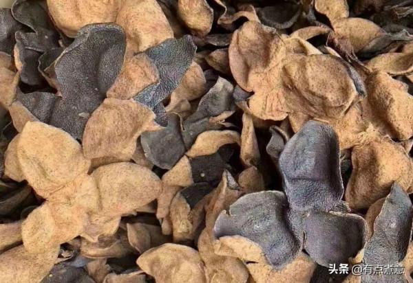 12種常見香料怎麼用？一次性告訴你！還有滷料配方，滷啥都香