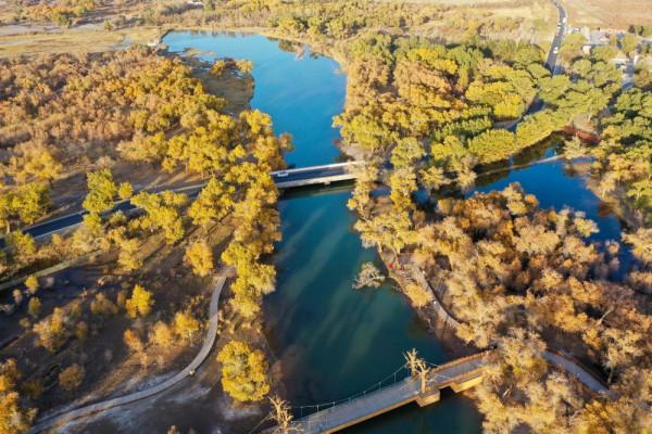 什麼是額濟納 什麼是額濟納