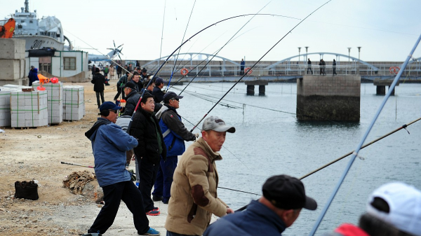 無靈魂的可視錨魚：這不是釣魚，而是水下獵殺，被多地禁用
