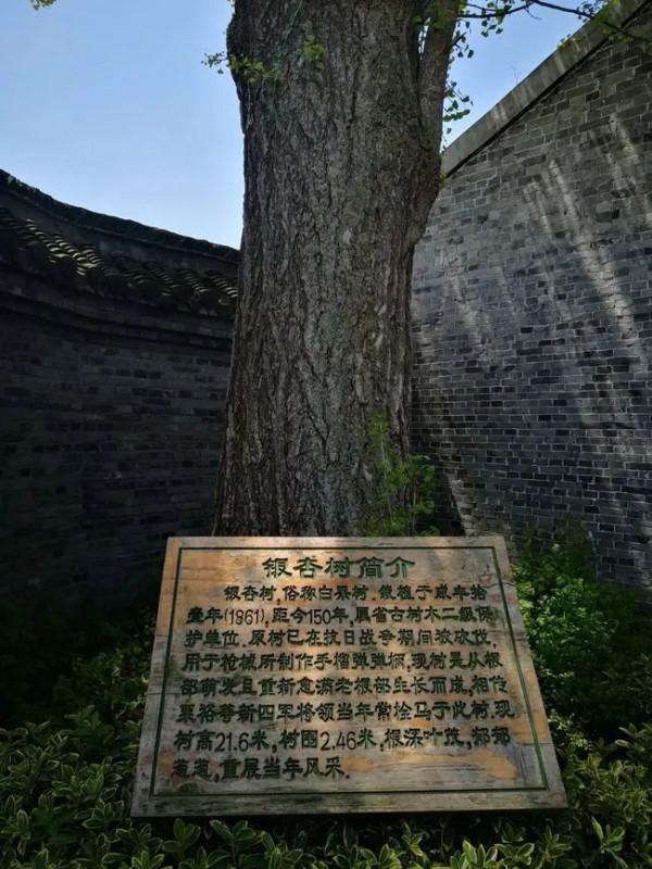 【平安夜讀】銀杏·古井·老房子