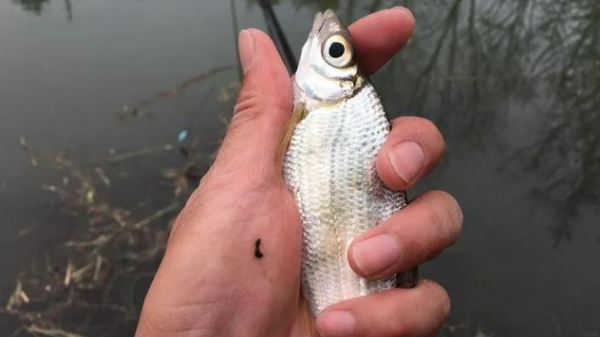 不會找釣點？推薦你八個好位置，不用再為找釣點發愁