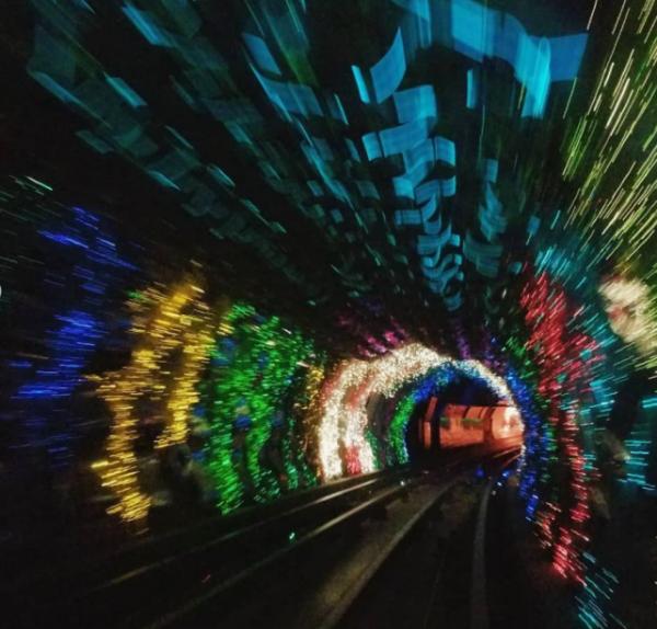 看一眼就想鑽進去！這十條隧道讓人五迷三道