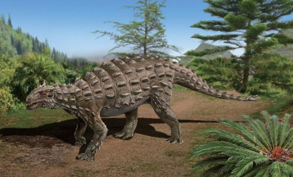 恐龍科普——甲龍