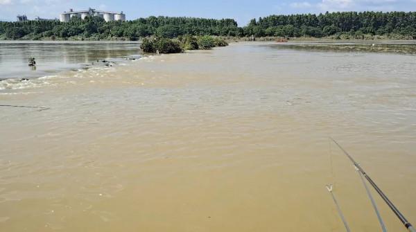 這是最成功的入侵魚類,在國內繁衍數十年,居然沒幾個人知道 這是最成功的入侵魚類,在國內繁衍數十年,居然沒幾個人知道